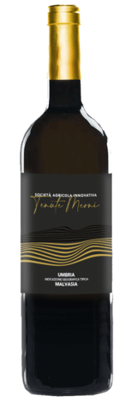 vino-tenute-meoni-bianco-002